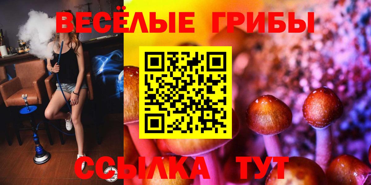 Избербаш  дарнет шоп  Вход с VPN  Псилоцибиновые грибы Psilocybine cubensis 
